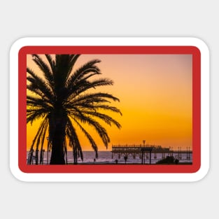 Namibia. Swakopmund. Palm Tree. Sunset. Sticker